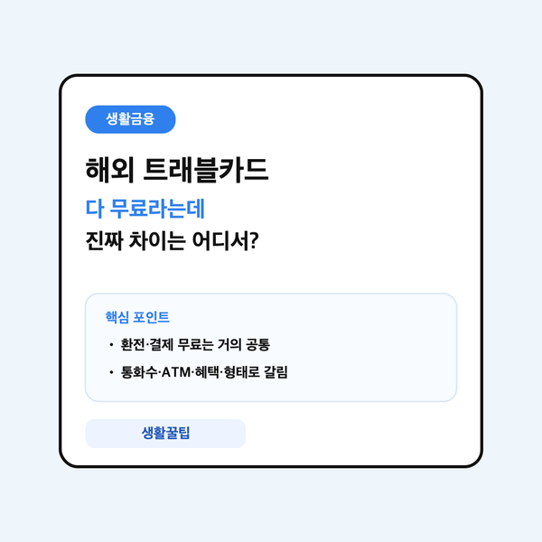 해외용 트래블카드 비교 안내 대표 이미지
